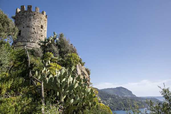 Il 2022 è l'anno della Calabria: inserita dal Time nel World’s Greatest Places 2022 tra Bronzi di Riace e Magna Grecia Il 2022 è l'anno della Calabria: inserita dal Time nel World’s Greatest Places 2022 tra Bronzi di Riace e Magna Grecia