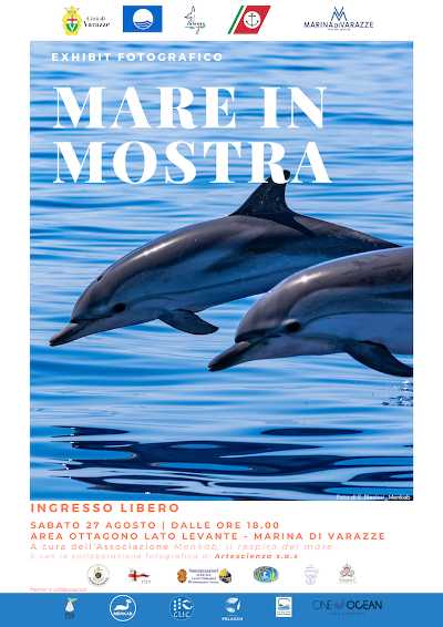 Marina di Varazze - Una mostra dedicata al mondo sommerso e ai mammiferi del Santuario Pelagos