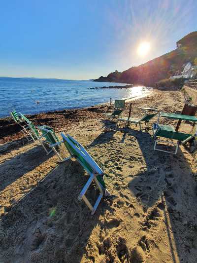 Una nuova sorpresa all'Isola d'Elba: è iniziata la schiusa delle tartarughe Caretta caretta sulla spiaggia di Sant'Andrea