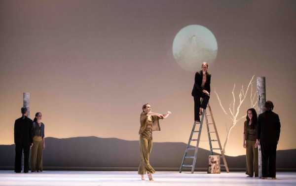 Carolyn Carlson porta in scena al Morlacchi di Perugia la sua ultima grande creazione: "The TREE"
