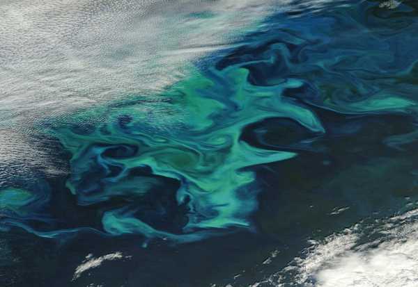 Oceano Atlantico: l’azione antropica condiziona la temperatura