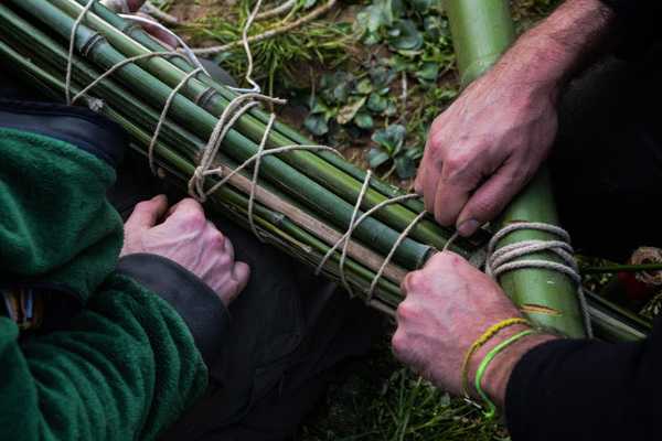 Under the Bamboo Tree - La manifestazione dedicata al bambù al Labirinto della Masone