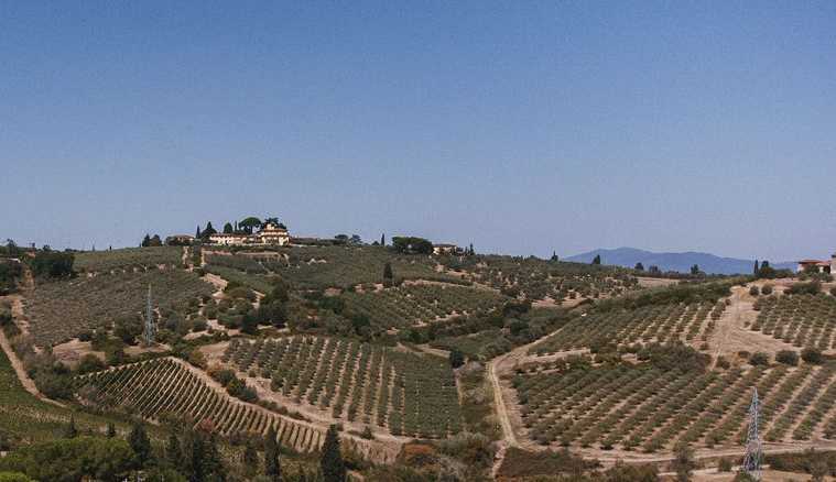 Tre giovani laureati diventeranno “Ambasciatori delle innovazioni in agricoltura”: aperto il bando per l’assegnazione di tre borse di studio Tre giovani laureati diventeranno “Ambasciatori delle innovazioni in agricoltura”: aperto il bando per l’assegnazione di tre borse di studio       