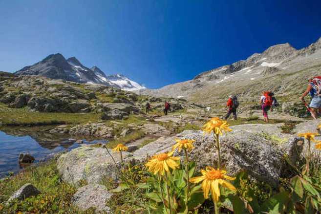 Mai così poca neve nelle Alpi negli ultimi 600 anni