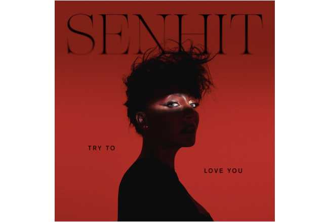 SENHIT - Un billboard nell’iconica Times Square di New York ha celebrato l’uscita del nuovo singolo “TRY TO LOVE YOU”