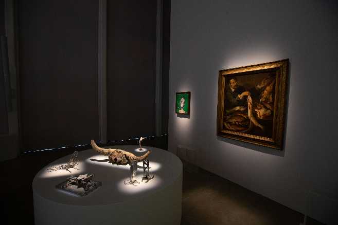 Oltre lo spazio, oltre il tempo. Il sogno di Ulisse Aldrovandi - Apre a Bologna la mostra di Fondazione Golinelli