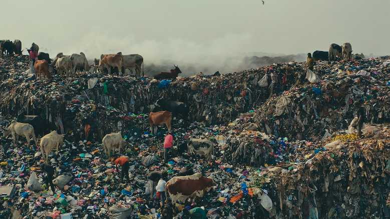 WILL E SKY presentano la docu-serie JUNK – ARMADI PIENI