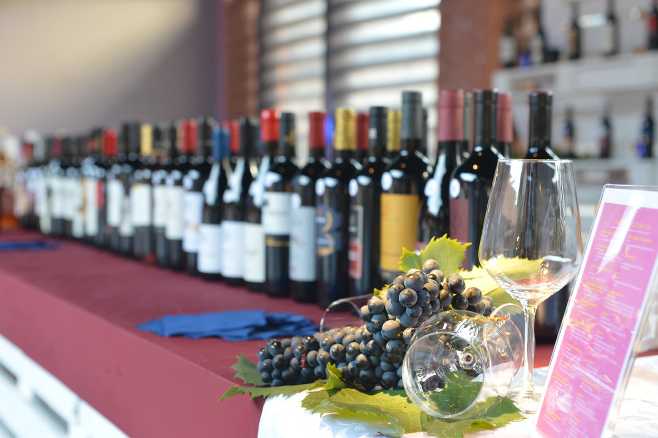 Trentinowinefest - Dal 19 al 21 maggio torna la Mostra del Teroldego Rotaliano