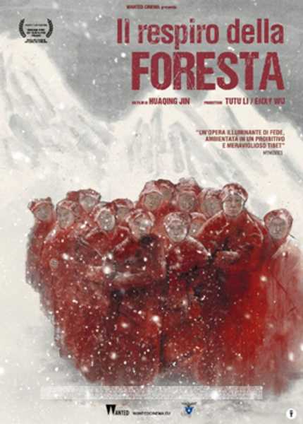 Al cinema solo il 22–23–24 maggio "IL RESPIRO DELLA FORESTA" di Jin Huaqing