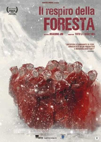 IL RESPIRO DELLA FORESTA - Al cinema solo il 22 – 23 - 24 maggio IL RESPIRO DELLA FORESTA - Al cinema solo il 22 – 23 - 24 maggio