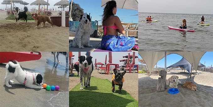 Al Baubeach il FESTIVALBAU: 3 giorni per festeggiare i 25 anni di attività