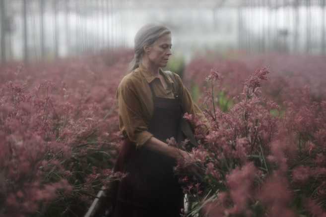 Prime Video, la serie Original The Lost Flowers of Alice Hart disponibile dal 4 agosto