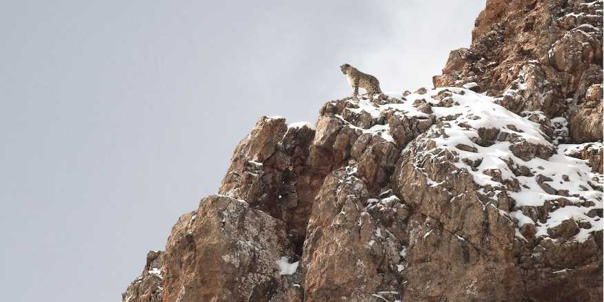 Al via lunedì a Cogne il 26° Gran Paradiso Film Festival