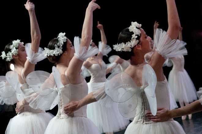 La danza torna protagonista al 44° Festival La Versiliana: In scena il Balletto del Sud con “Il Cigno”