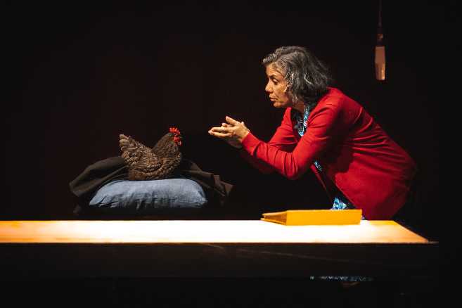 Dal romanzo allo spettacolo. “Nives” di Sacha Naspini al San Rocco Festival Dal romanzo allo spettacolo. “Nives” di Sacha Naspini al San Rocco Festival