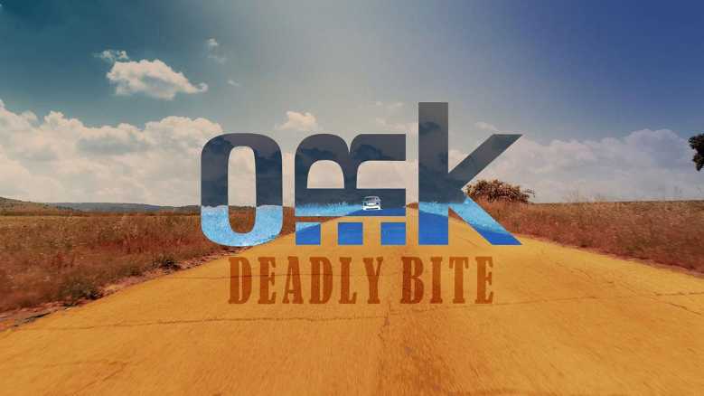 Gli O.R.k. presentano il nuovo video di "DEADLY BITE" prima della loro partecipazione al 2DAYS PROG + 1 FESTIVAL