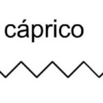 L'acido caprico: utilizzo e proprietà del composto versatile