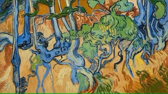 Stasera in tv Il mistero dell'ultimo Van Gogh 