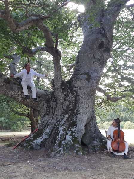 Alberi in Cammino, i giganti secolari dell’Appennino