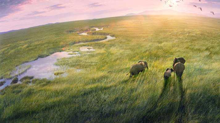 Stasera in TV la serie-evento "Planet Earth III"