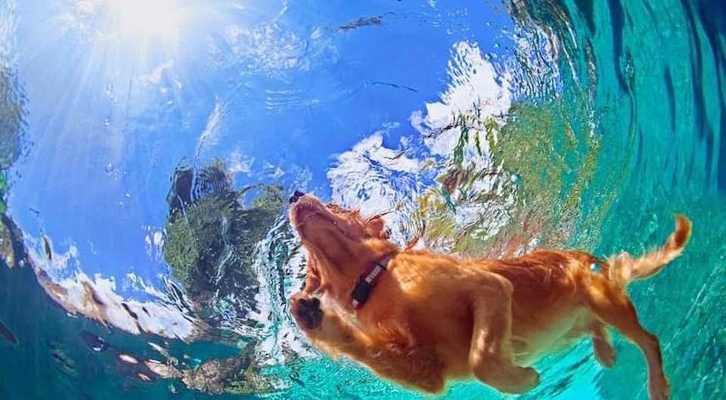 Il lungo week-end di ferragosto al Baubeach