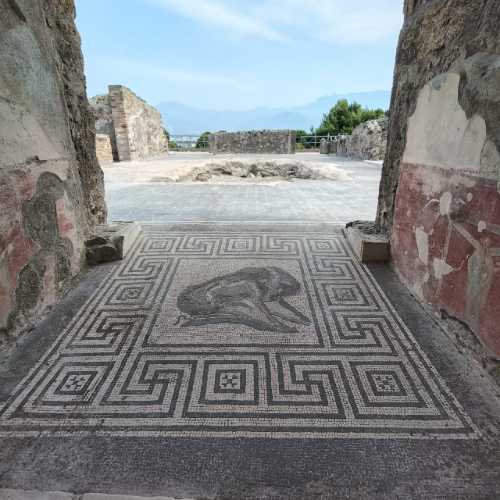 Insula Meridionalis di Pompei: visite guidate nel cantiere archeologico più complesso