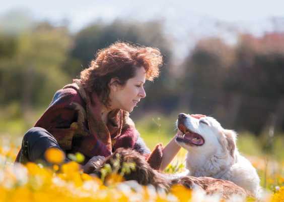 Baubeach presenta "La ciotola di medicina": un nuovo approccio alla cura degli animali