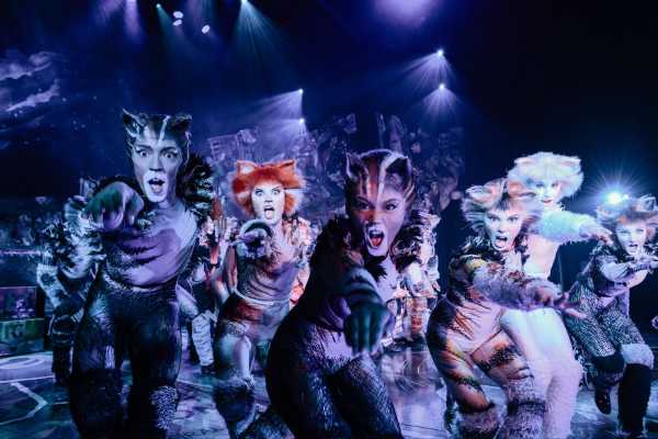 Cats: il musical torna in italia con un evento straordinario