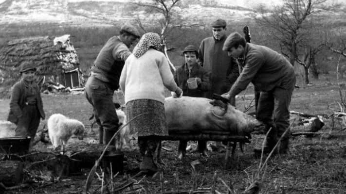 Stasera su Rai Storia "RAInchieste": la televisione rivive le grandi inchieste della Rai