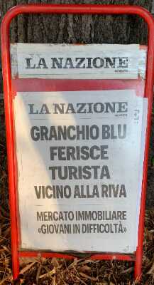 Maremma Civetta! – di Francesco Tozzi – Numero 12