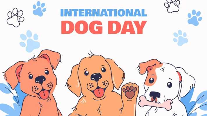 Giornata Mondiale del Cane: un tributo ai nostri amici a quattro zampe