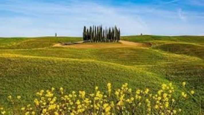 Maremma oggi su Rai 5: l'inverno toscano tra oche selvatiche e daini