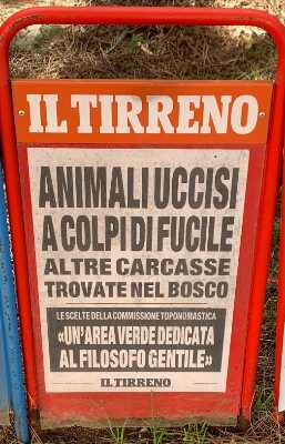 Maremma Civetta! – di Francesco Tozzi – Numero 16