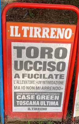Maremma Civetta! – di Francesco Tozzi – Numero 16