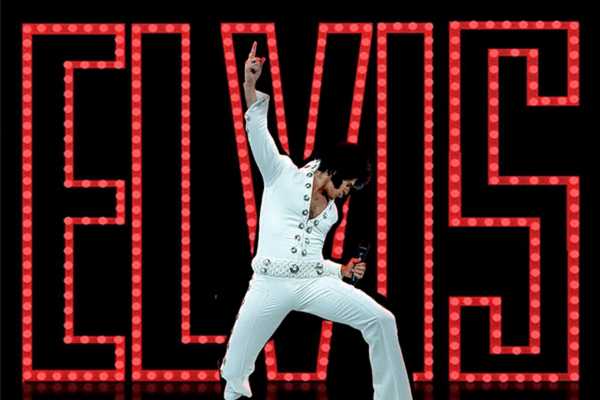 Bologna, Elvis torna per una notte: al Teatro Duse il live che fa tremare il Rock’n’Roll
