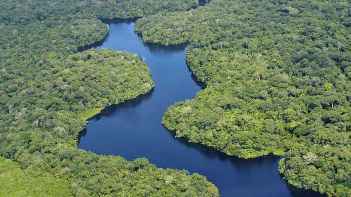 "Una noce dura da rompere" stasera su Rai 5: viaggio nella foresta amazzonica