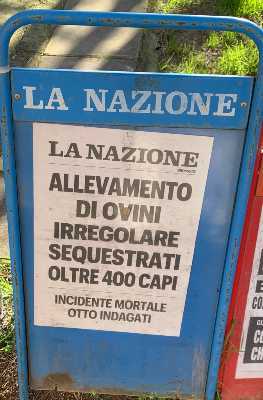 Maremma Civetta! – di Francesco Tozzi – Numero 32