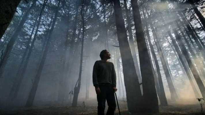 Il segreto della casa maledetta: l’horror Presencias stasera in TV vi terrà incollati allo schermo